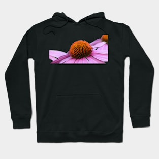 Cone Flower or Echinacea Hoodie